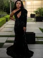 Sheath/Column Glinting One-Shoulder Long Sleeves Sweep Train Velvet Sequins Evening Dress