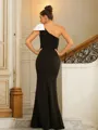Sheath/Column One-Shoulder Empowering Sleeveless Floor-Length Stretch Crepe Evening Dresses