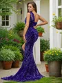 Sheath/Column One-Shoulder Twinkling Sleeveless Sweep Train Velvet Sequins Evening Dresses