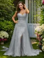 A-line V-Neck Chic Sleeveless Sweep Train Tulle Evening Dresses