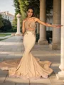 Trendy Trumpet/Mermaid Scoop Chapel Train Jersey Evening Dress With Appliques Lace