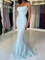Exquisite Sheath Straps Sweep Train Evening Dress