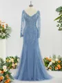 Elegant Sheath/Column V-neck Long Sleeves Sweep Train Tulle Mother of the Bride Dress With Applique