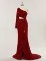 Sheath/Column One-Shoulder Long Sleeves Shimmery Sweep Train Velvet Sequins Prom Dress With Slit