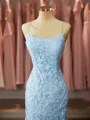 Classy Trumpet/Mermaid Spaghetti Straps Court Train open back Tulle Prom Dress With Appliques Lace