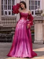 Chic A-line Straight Long Sleeves Appliques Lace Sweep Train Tulle Corset Convertible Prom Dress