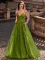 Charming A-line V-Neck Appliques Lace Sweep Train Corset Prom Dress