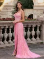 Tasteful Sheath Spaghetti Straps Appliques Lace Sweep Train Tulle Corset Prom Dress