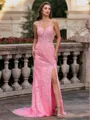Tasteful Sheath Spaghetti Straps Appliques Lace Sweep Train Tulle Corset Prom Dress