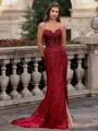 Tasteful Sheath Spaghetti Straps Appliques Lace Sweep Train Tulle Corset Prom Dress