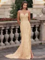 Tasteful Sheath Spaghetti Straps Appliques Lace Sweep Train Tulle Corset Prom Dress