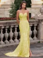 Tasteful Sheath Spaghetti Straps Appliques Lace Sweep Train Tulle Corset Prom Dress