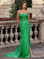 Tasteful Sheath Spaghetti Straps Appliques Lace Sweep Train Tulle Corset Prom Dress