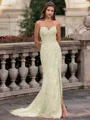 Tasteful Sheath Spaghetti Straps Appliques Lace Sweep Train Tulle Corset Prom Dress
