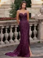 Tasteful Sheath Spaghetti Straps Appliques Lace Sweep Train Tulle Corset Prom Dress