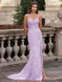 Tasteful Sheath Spaghetti Straps Appliques Lace Sweep Train Tulle Corset Prom Dress