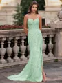 Tasteful Sheath Spaghetti Straps Appliques Lace Sweep Train Tulle Corset Prom Dress