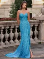 Tasteful Sheath Spaghetti Straps Appliques Lace Sweep Train Tulle Corset Prom Dress