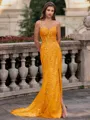 Tasteful Sheath Spaghetti Straps Appliques Lace Sweep Train Tulle Corset Prom Dress