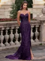 Tasteful Sheath Spaghetti Straps Appliques Lace Sweep Train Tulle Corset Prom Dress