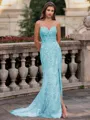 Tasteful Sheath Spaghetti Straps Appliques Lace Sweep Train Tulle Corset Prom Dress
