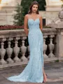 Tasteful Sheath Spaghetti Straps Appliques Lace Sweep Train Tulle Corset Prom Dress