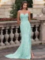 Tasteful Sheath Spaghetti Straps Appliques Lace Sweep Train Tulle Corset Prom Dress