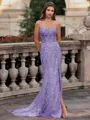 Tasteful Sheath Spaghetti Straps Appliques Lace Sweep Train Tulle Corset Prom Dress
