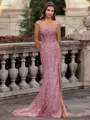 Tasteful Sheath Spaghetti Straps Appliques Lace Sweep Train Tulle Corset Prom Dress