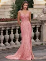 Tasteful Sheath Spaghetti Straps Appliques Lace Sweep Train Tulle Corset Prom Dress