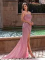 Radiant Sheath Straight Pleated Sweep Train Prom Dress