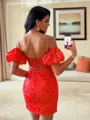 Gorgeous Sheath Spaghetti Straps Short Sleeves Sequin Short/Mini Lace Corset Convertible Homecoming Dress