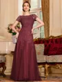 Classy A-Line Tulle Lace Scoop Short Sleeves Floor-Length Mother of the Bride Dress