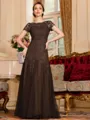 Classy A-Line Tulle Lace Scoop Short Sleeves Floor-Length Mother of the Bride Dress