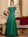 Classy A-Line Tulle Lace Scoop Short Sleeves Floor-Length Mother of the Bride Dress
