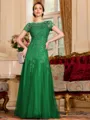 Classy A-Line Tulle Lace Scoop Short Sleeves Floor-Length Mother of the Bride Dress