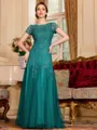 Classy A-Line Tulle Lace Scoop Short Sleeves Floor-Length Mother of the Bride Dress