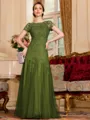 Classy A-Line Tulle Lace Scoop Short Sleeves Floor-Length Mother of the Bride Dress