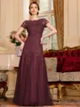 Classy A-Line Tulle Lace Scoop Short Sleeves Floor-Length Mother of the Bride Dress