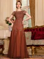 Classy A-Line Tulle Lace Scoop Short Sleeves Floor-Length Mother of the Bride Dress