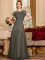 Classy A-Line Tulle Lace Scoop Short Sleeves Floor-Length Mother of the Bride Dress