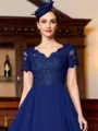 Glamorous A-Line Chiffon Lace V-Neck Short Sleeves Floor-Length Mother of the Bride Dress