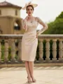 Glamorous Sheath/Column Satin Lace V-Neck Long Sleeves Knee-Length Mother of the Bride Dresses