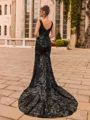 Hermosos Sheath Lace V-Neck Sleeveless Court Train Prom Dress