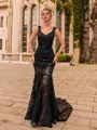 Hermosos Sheath Lace V-Neck Sleeveless Court Train Prom Dress