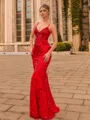 Elegant Sheath Lace V-Neck Sleeveless Floor-Length Prom Dress
