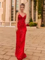 Elegant Sheath Lace V-Neck Sleeveless Floor-Length Prom Dress