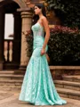 Bodycon Sheath V-neck Sweep Train Lace Corset Prom Dress