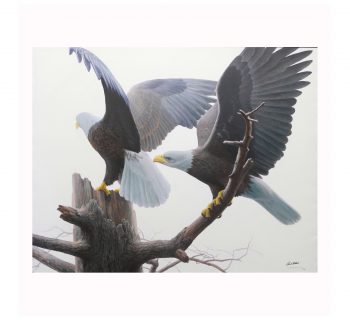 Robert Bateman’s “Landings – Bald Eagles” Limited Edition Canvas