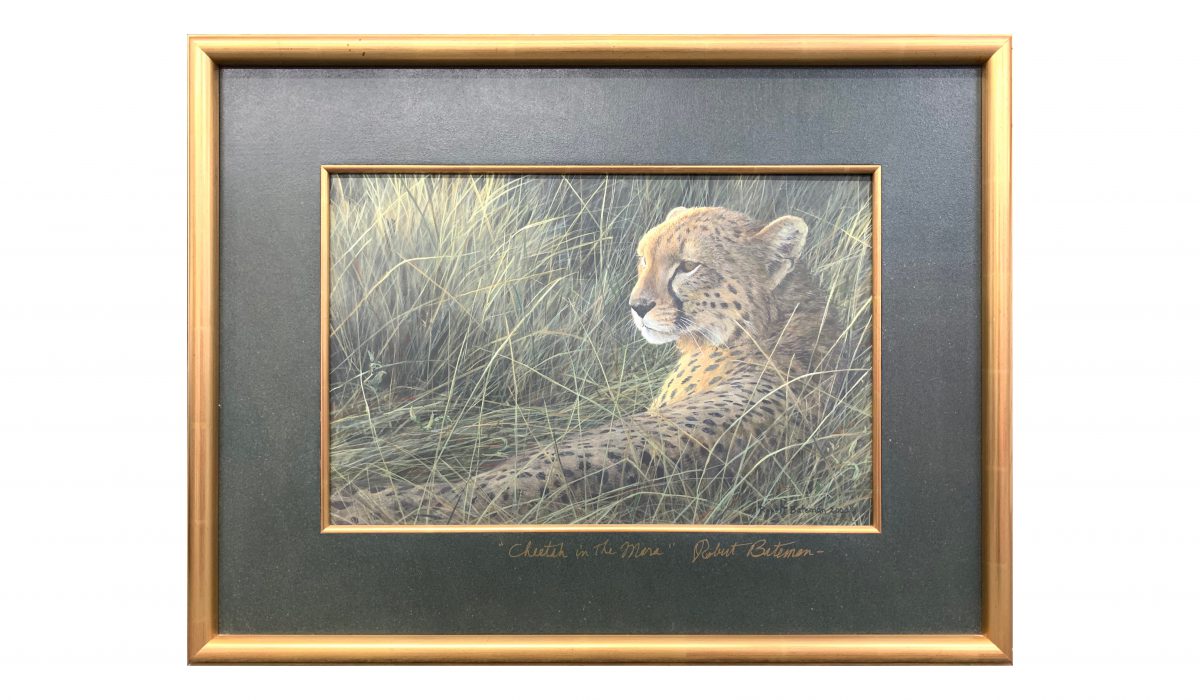 Robert Bateman's